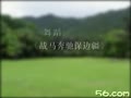 红色歌伴舞-《骏马*保边疆》.