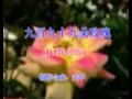 DJ����-�Űپ�ʮ�Ŷ�õ��