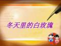 �㳡�衶������İ�õ�塷