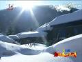 《2012黑龙江卫视春晚》薛丹《与雪共舞