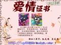 ����㳡�轡���衶��̫�����̫�ɡ���ѧ