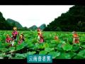 彩云之南广场舞第七集 荷塘月色