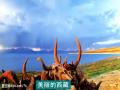 彩云之南广场舞第八集 洗衣歌