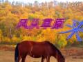 �㳡�衶�ҴӲ�ԭ����2012���¹㳡��