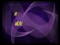 张馨文广场舞《中国美》教学视频