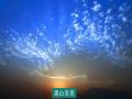 彩云之南广场舞第二十五集 牧羊曲