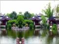 彩云之南广场舞第二十六集 第三套海派秧歌