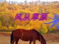 ���ù㳡�衶�ҴӲ�ԭ���������ѧ