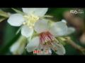 ����㳡�衶�ж��衷�ֽ⶯��������ʾ  ԭ��