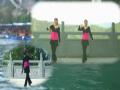 ������÷�㳡�� �콭ˮ���ӡ� ������ʾ��