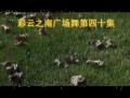 彩云之南广场舞第40集 骑马舞 (江南style)