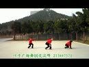 叶子广场舞 你是我的玫瑰花