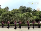 茉莉广场舞第四辑《唐古拉》正反面教学演示
