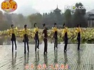快乐广场 阿娇广场舞 高清教学视频