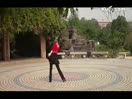 广场舞教学 过河 背面分解