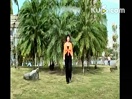 新年财运到 美丽广场舞 高清教学