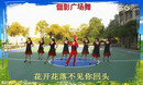 广场舞 等你等了那么久 俪影广场舞