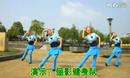 广场舞我最爱小花 俪影广场舞