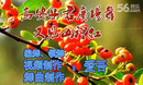 广场舞又见山里红 高安子君广场舞