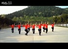 广场舞新疆新 叶子广场舞