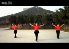 �㳡�������ҵ�õ�廨 ���� Ҷ�ӹ㳡��