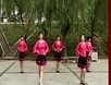 听海广场舞 这条街 2013高清广场舞