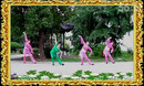 杨阳广场舞 蒲公英的翅膀 2013高清广场舞