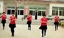 心心广场舞 花一开就相爱 2013高清广场舞