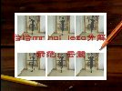 ����--ǡǡ hai mr leta�ֽ�ʾ��