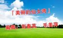 ��������Ů�壨���棩��Ӣ�㳡��