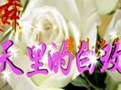 �߰��Ӿ��㳡�� ������İ�õ��