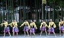 湘湘广场舞 山里江南 2013高清广场舞