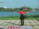 244��Ӣ�㳡�� ��Ҫ��������������ʾ��-�㳡