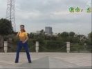 ����㳡�赸�����ֶ��硷�������ѧ��ʾ �ڰ˼�