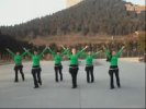 Ҷ�ӹ㳡�� �����ԭ��������ֽ⣩