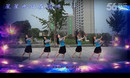 小丫广场舞 仙女湖 团队加反面
