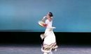 ��ʮ����������_���� ���峤�� ���չ�