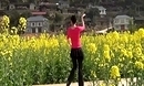 ���ൾ���㳡�裺���С���������漰�ֽ⶯����