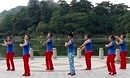 小虎广场舞 浪漫三月桃花红