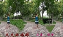 绿萝广场舞 火火的姑娘