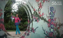 �Ŵ����㳡�� �滨�� ���˰� ��������ʾ