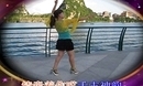 婷婷飞舞广场舞《梦里江南》