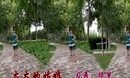 绿萝广场舞 火火的姑娘