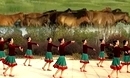 ��Ӣ�㳡�� �������� 2014�㳡������