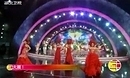 歌舞 舞动春天 2014年湖北卫视马年春节联欢晚会