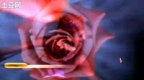 �赸������Ϊʲô�����졷���蹶�� ά������赸