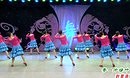 ��Ӣ�㳡�� ��һƬ��Ҷ����ԭ ������ʾ