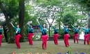 ����㳡�� �ò��øò��� 2014ԭ������������ʾ�ֽ⣩