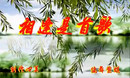 ���Ĺ㳡�� ������׸� 2014���������