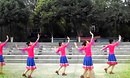 ���ǹ㳡�� ��ľ������ ������
